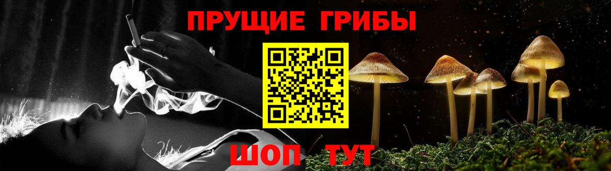 Псилоцибиновые грибы GOLDEN TEACHER  Вход с VPN  Псилоцибиновые грибы мухоморы  что такое наркотик  Гусев 